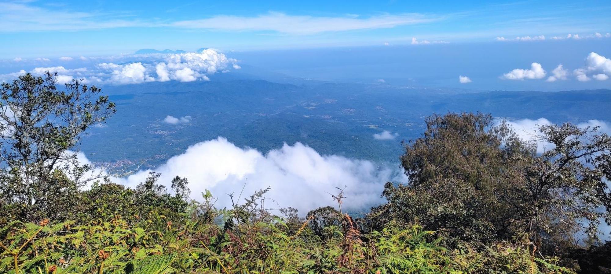 Buana Asti Homestay Selemadeg エクステリア 写真
