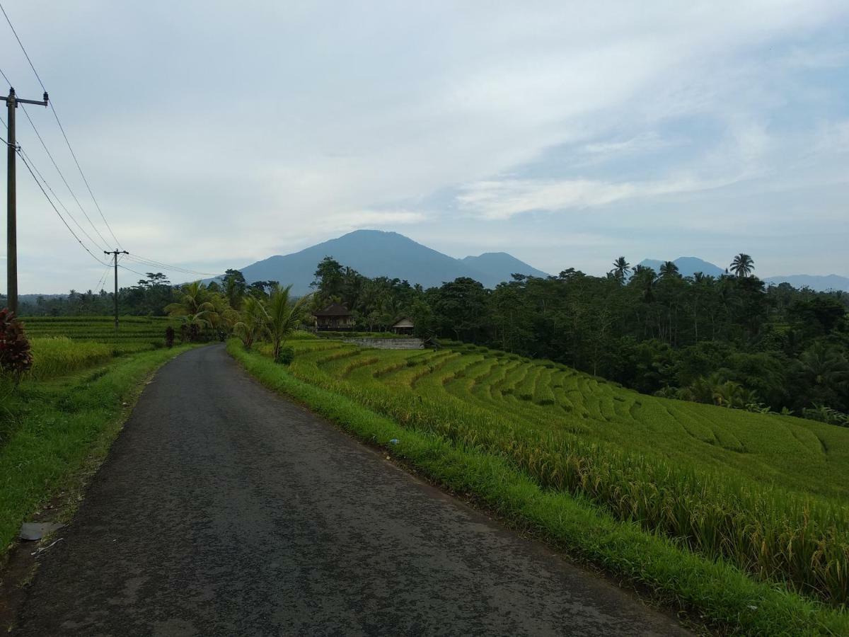 Buana Asti Homestay Selemadeg エクステリア 写真